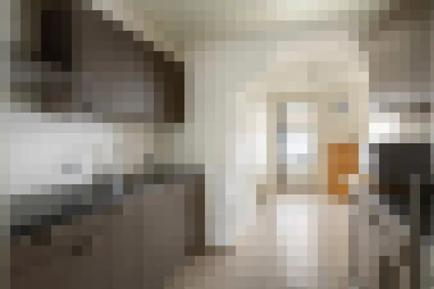 Julianastraat 11 Bakel thumbnail 8