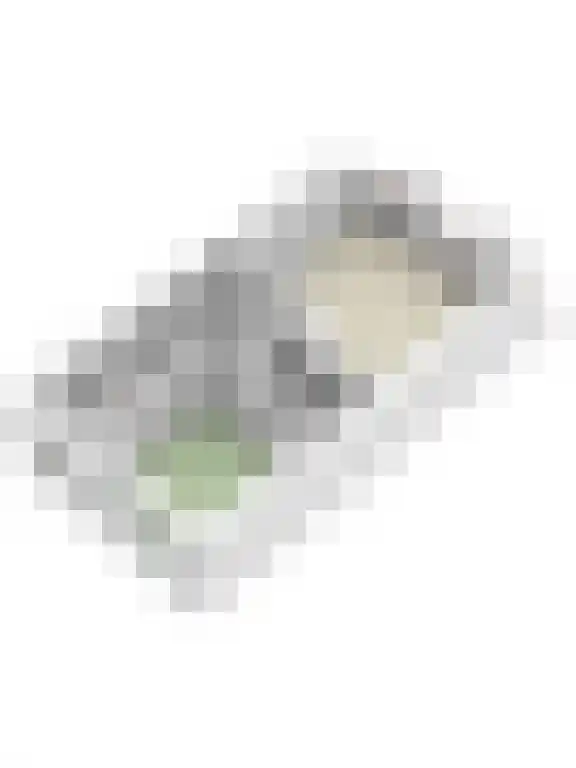 Julianastraat 11 E Uden thumbnail 21