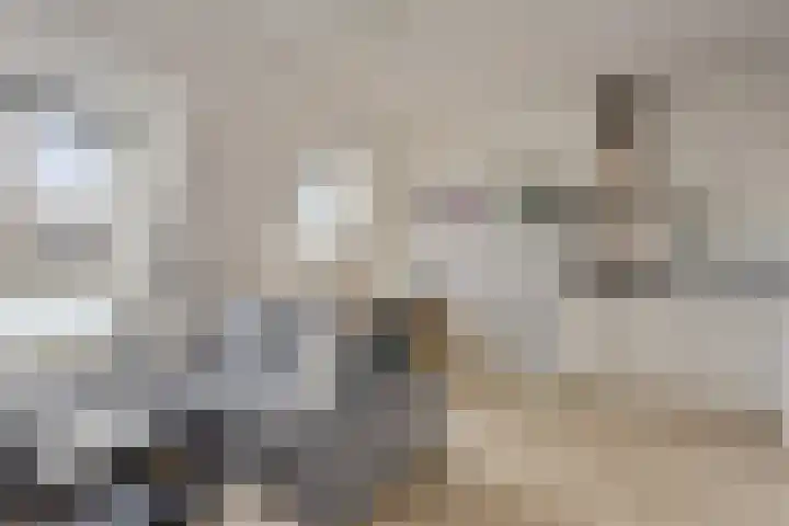 Julianastraat 11 E Uden thumbnail 4