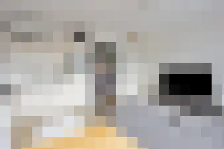 Julianastraat 11 E Uden thumbnail 6