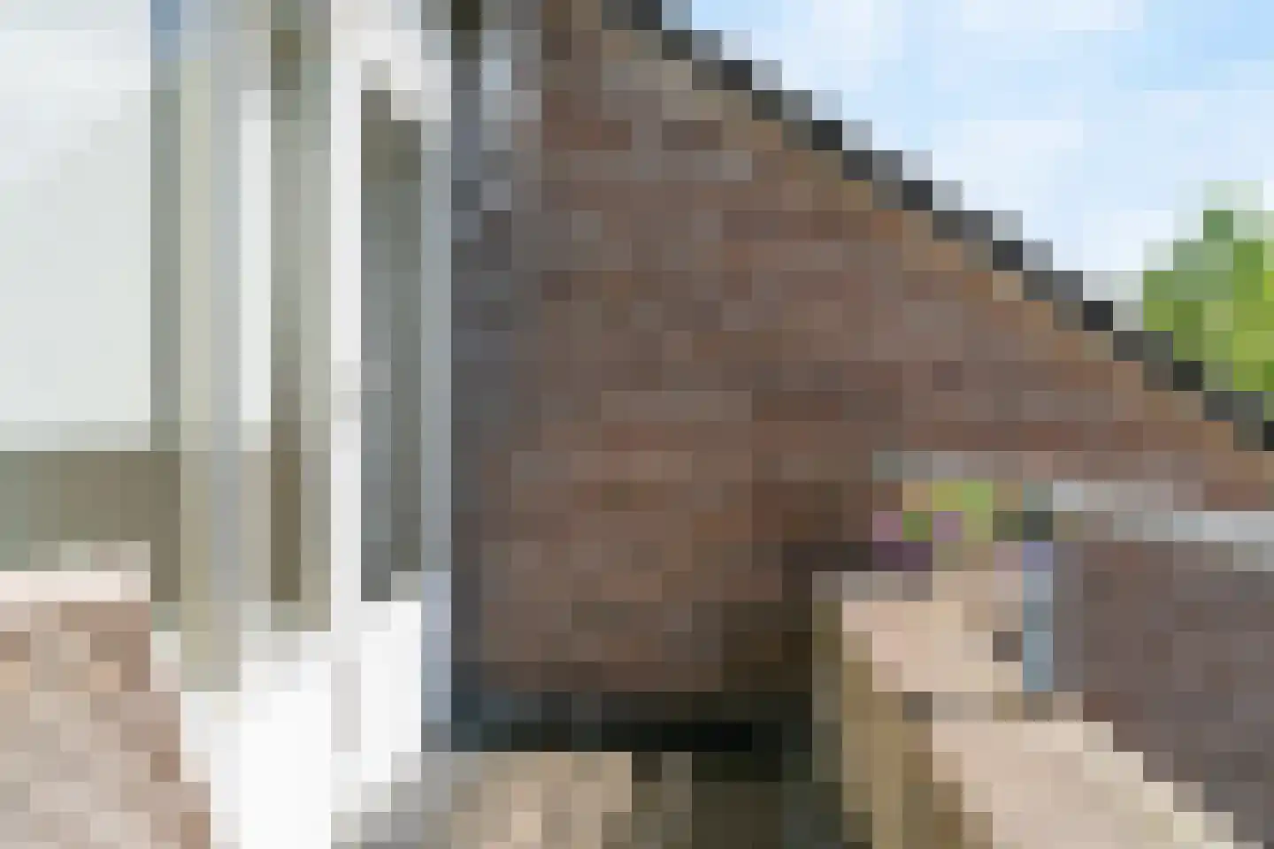 Julianastraat 11 G Brunssum thumbnail 25