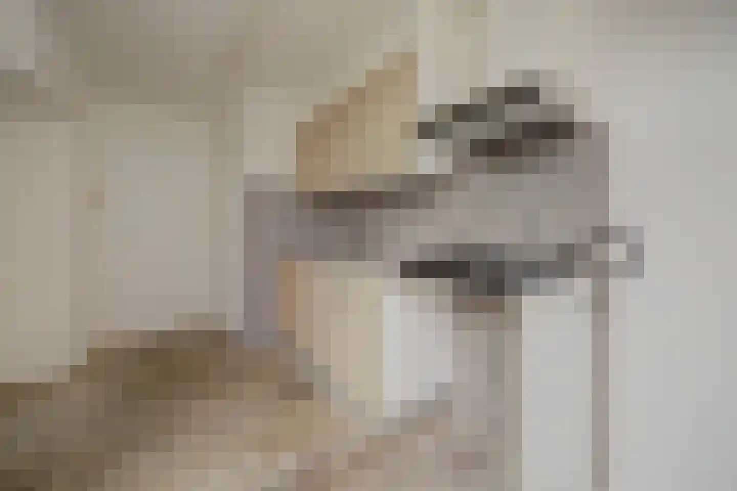 Julianastraat 11 Hellouw thumbnail 12