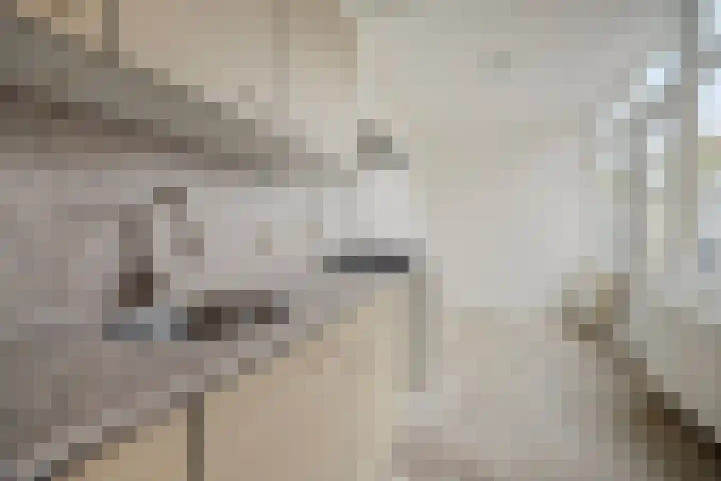 Julianastraat 11 Hellouw thumbnail 8