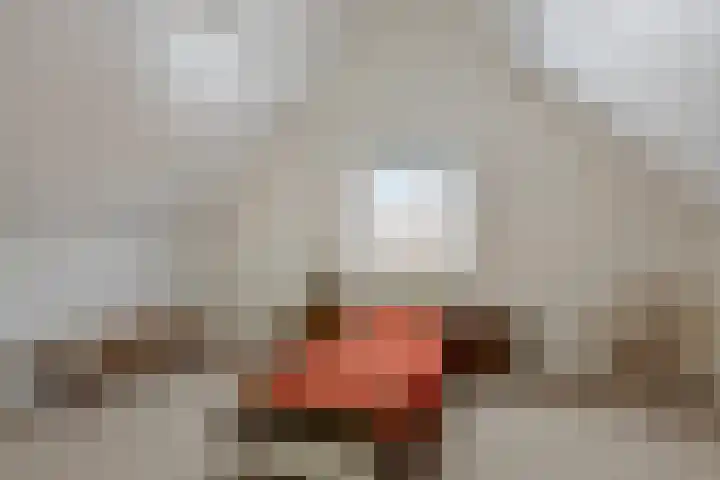 Julianastraat 11 Lunteren thumbnail 22
