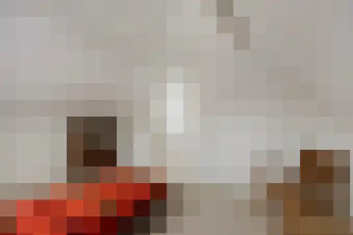 Julianastraat 11 Lunteren thumbnail 23