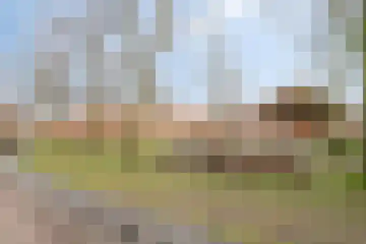 Julianastraat 11 Lunteren thumbnail 33