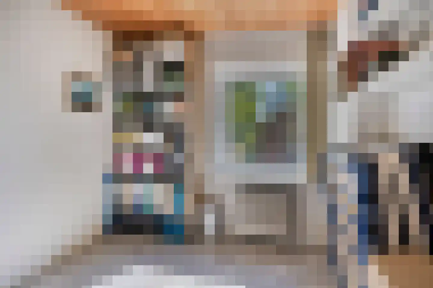 Julianastraat 11 Nuenen thumbnail 13