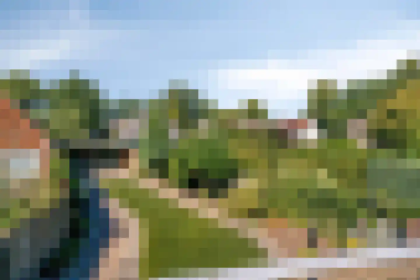 Julianastraat 11 Nuenen thumbnail 21