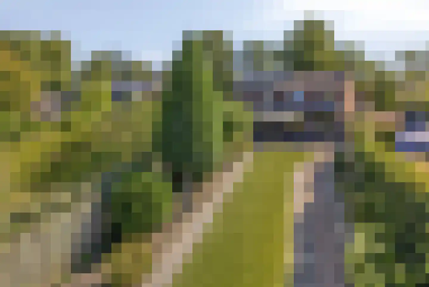 Julianastraat 11 Nuenen thumbnail 22