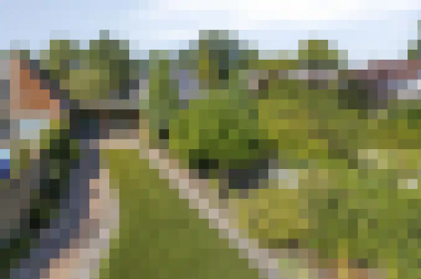 Julianastraat 11 Nuenen thumbnail 23