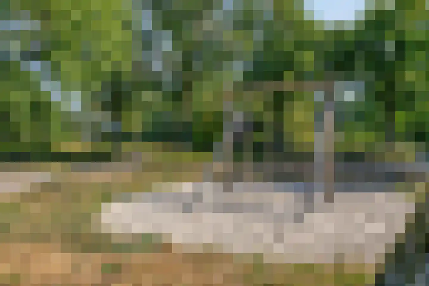Julianastraat 11 Nuenen thumbnail 25
