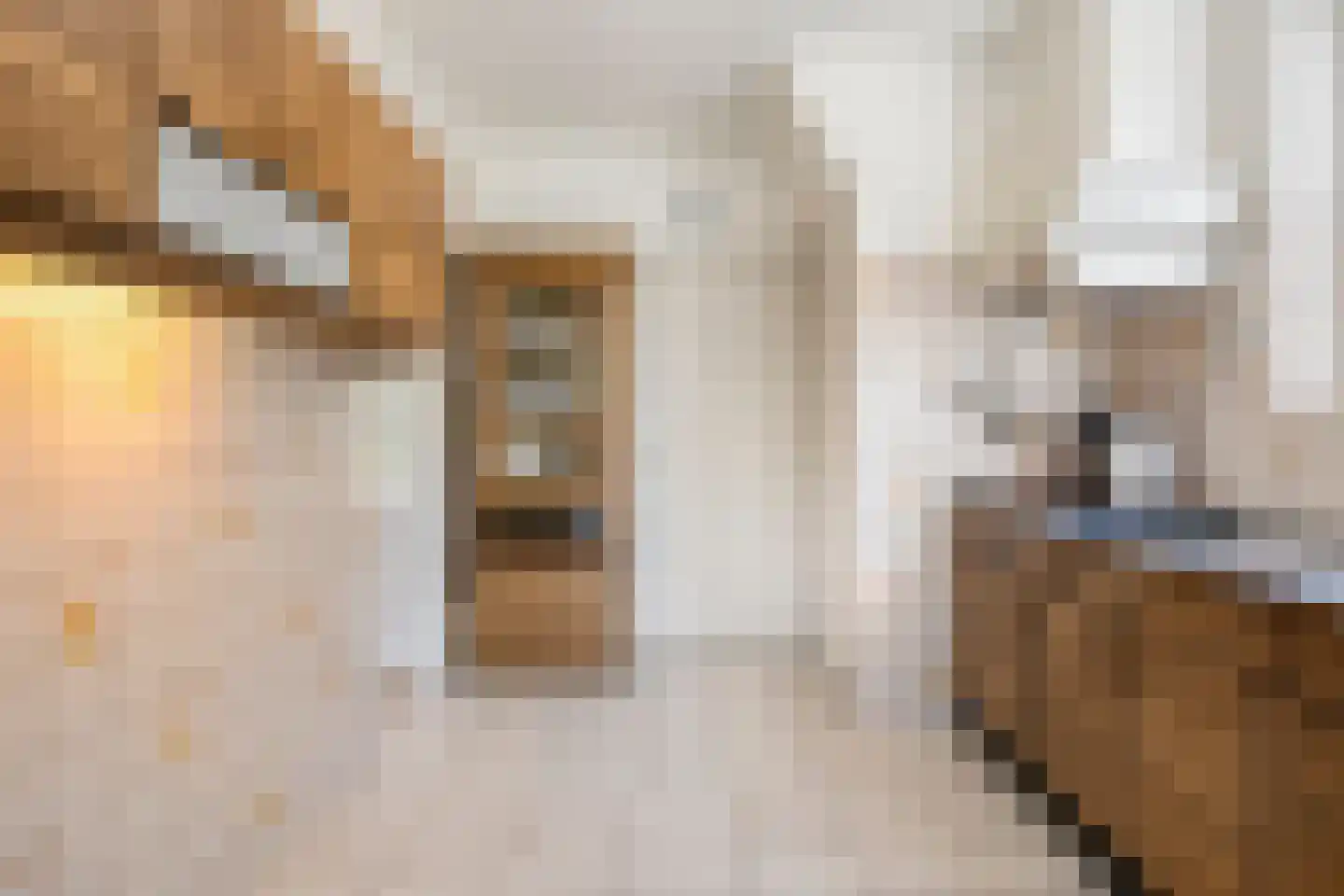Julianastraat 11 Nuenen thumbnail 9