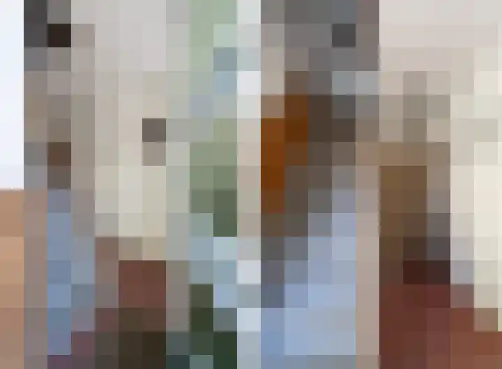 Julianastraat 11 Rhoon thumbnail 12