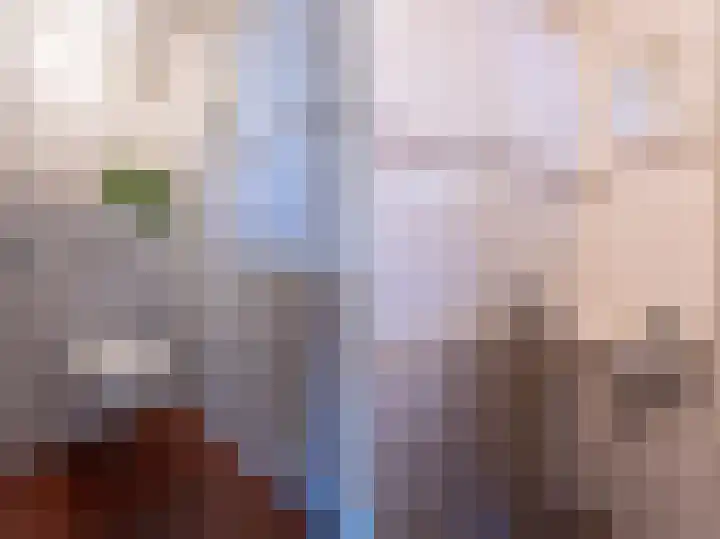 Julianastraat 11 Rhoon thumbnail 13