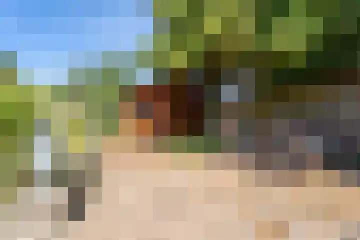 Julianastraat 11 Rhoon thumbnail 22