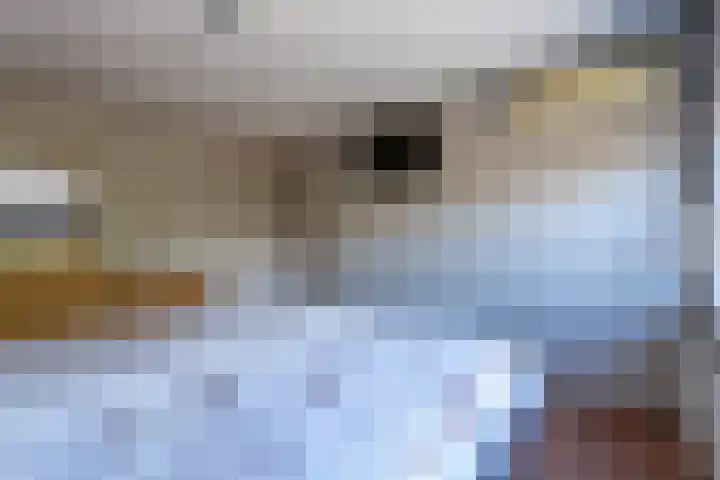 Julianastraat 11 Rhoon thumbnail 29