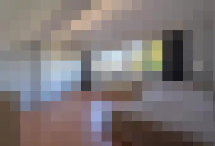 Julianastraat 11 Rhoon thumbnail 37