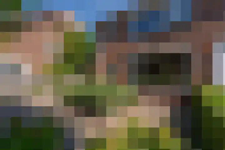 Julianastraat 11 Rhoon thumbnail 39