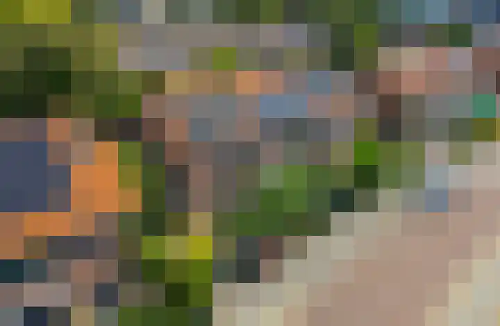 Julianastraat 11 Rhoon thumbnail 6