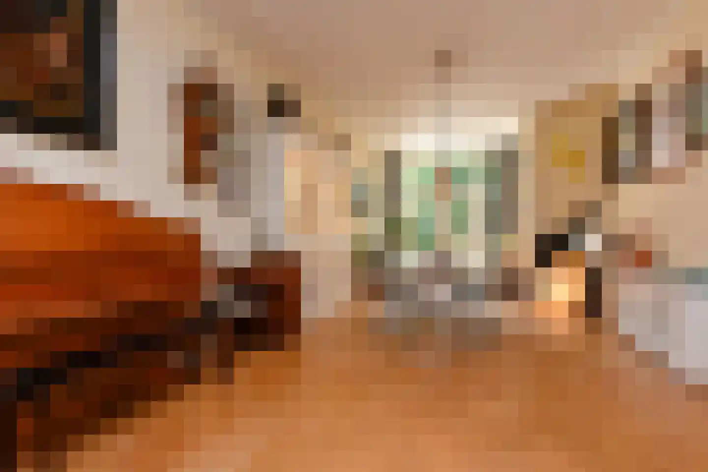 Julianastraat 11 Rijswijk thumbnail 10