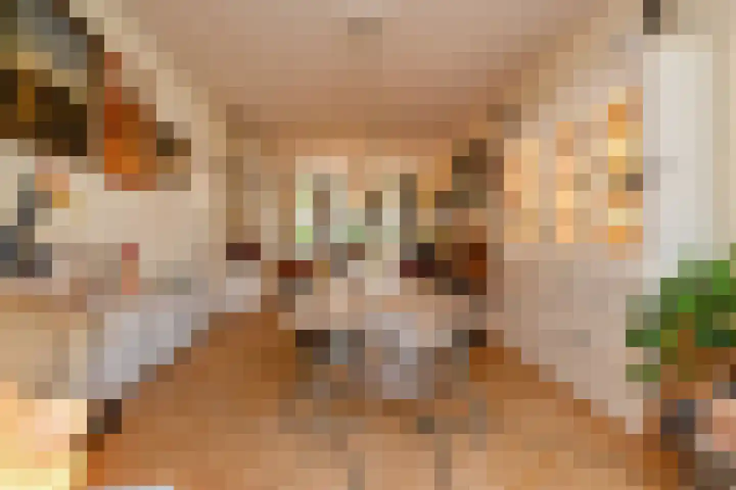 Julianastraat 11 Rijswijk thumbnail 12