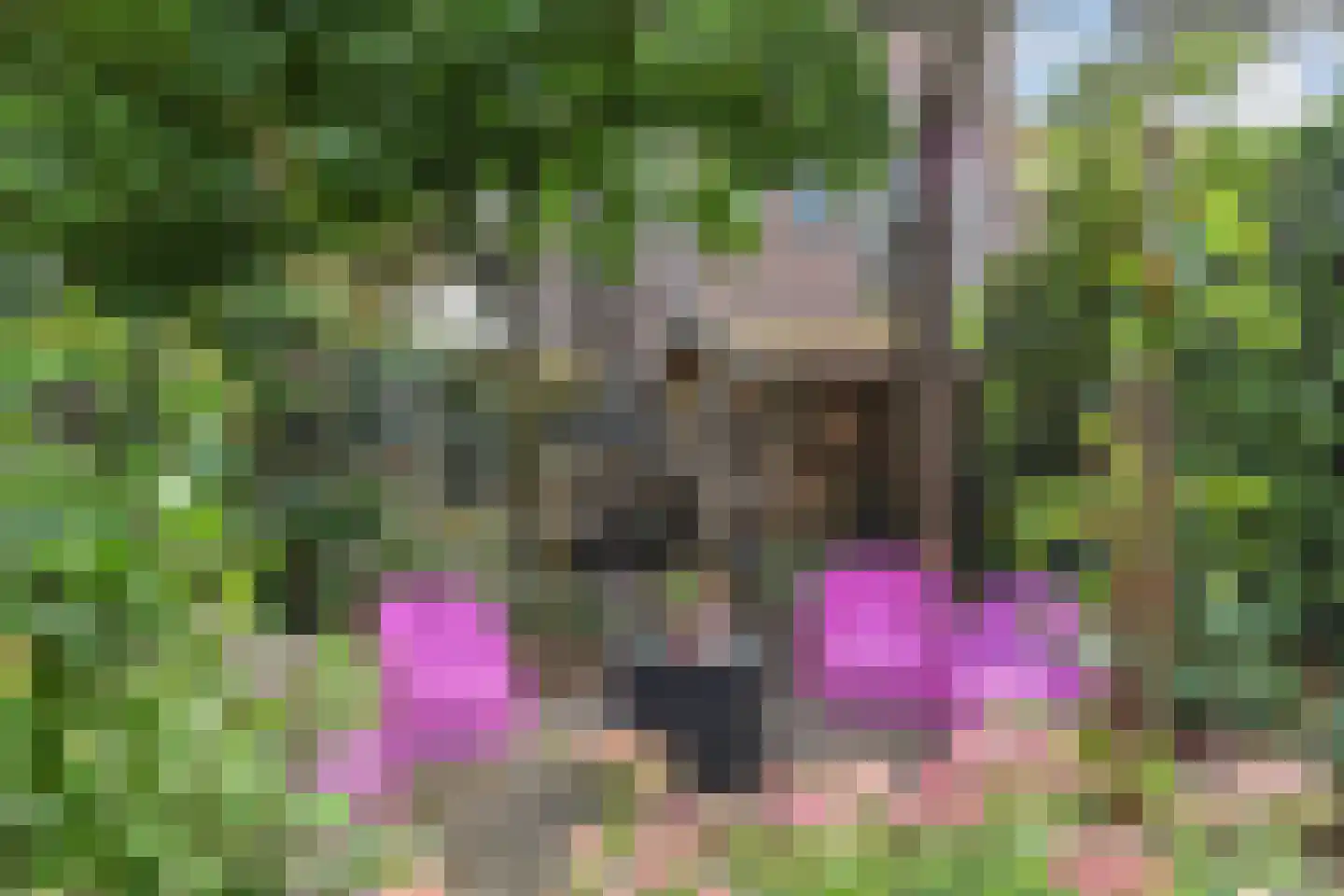 Julianastraat 11 Rijswijk thumbnail 16