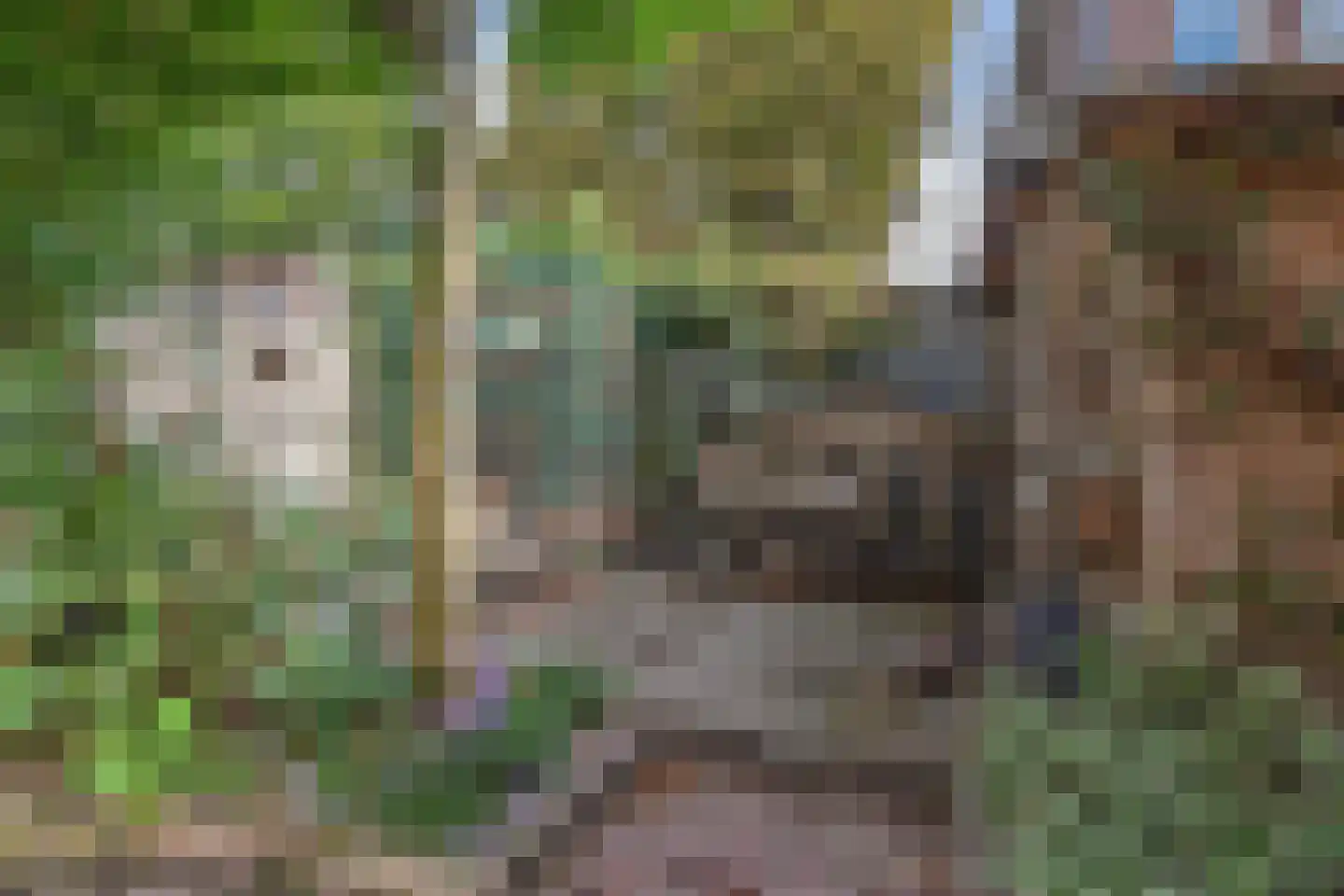Julianastraat 11 Rijswijk thumbnail 17