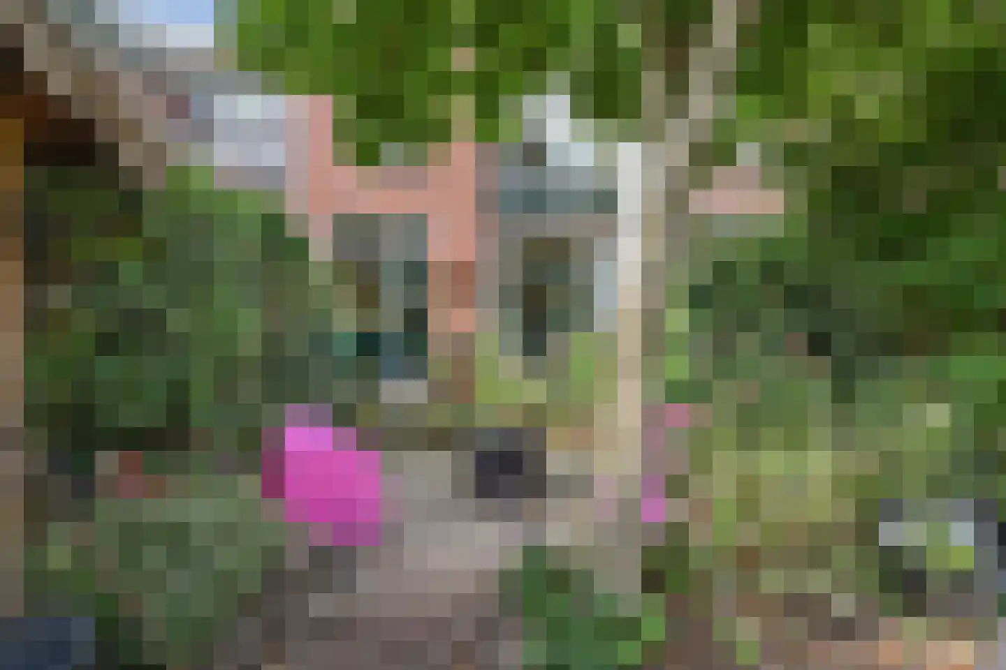 Julianastraat 11 Rijswijk thumbnail 18