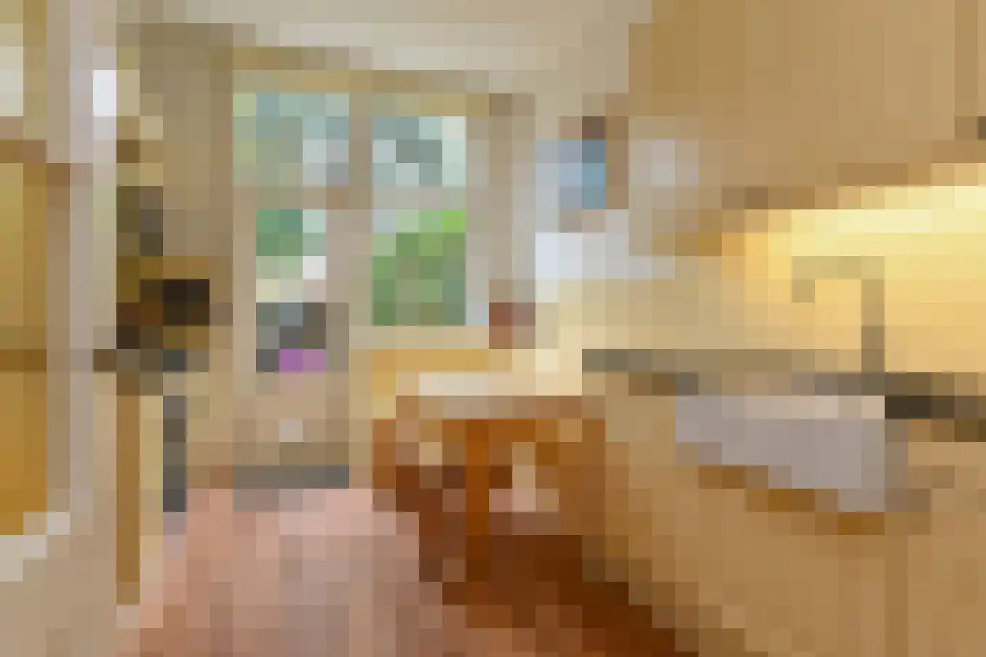Julianastraat 11 Rijswijk thumbnail 23