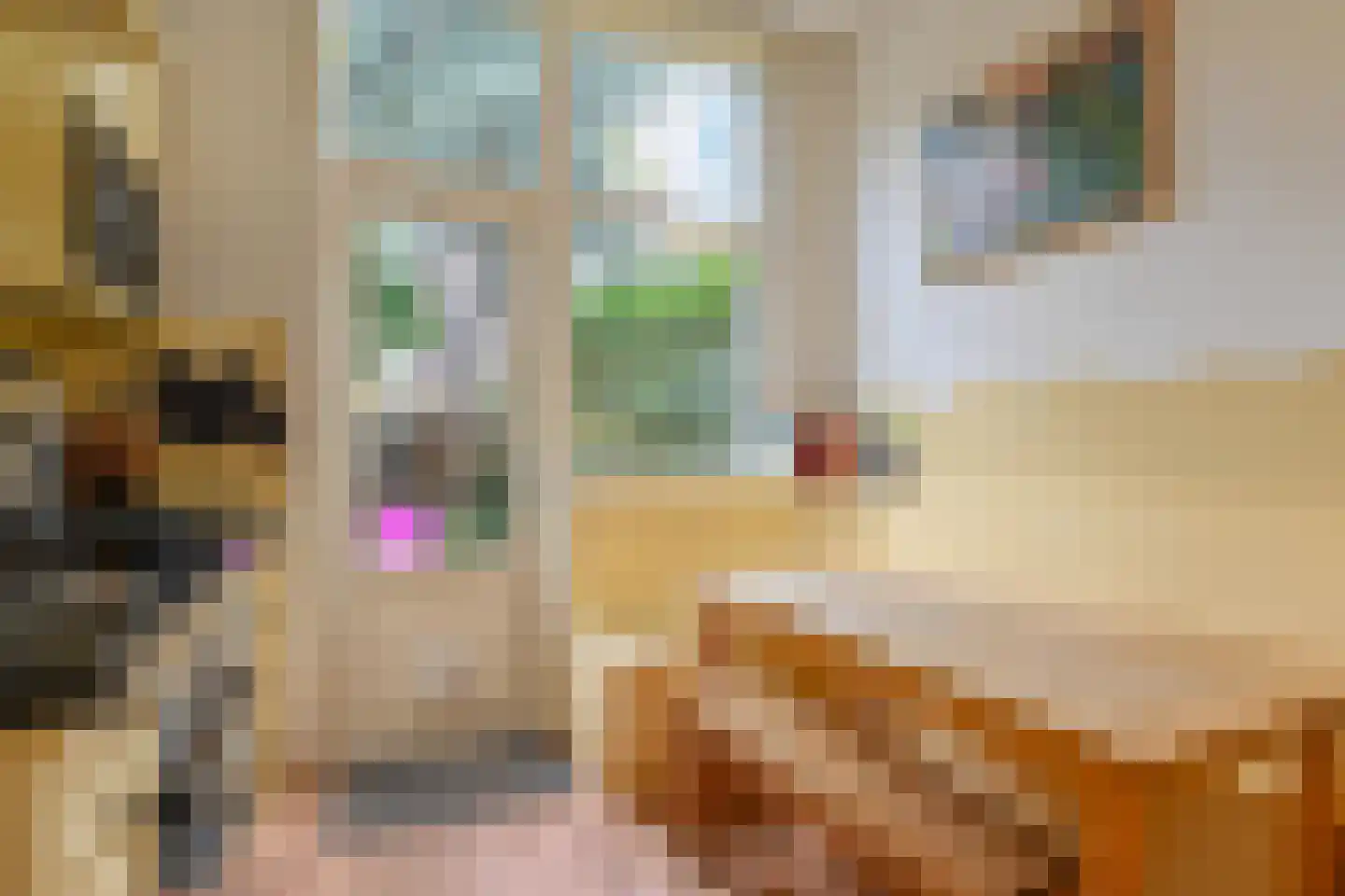 Julianastraat 11 Rijswijk thumbnail 24