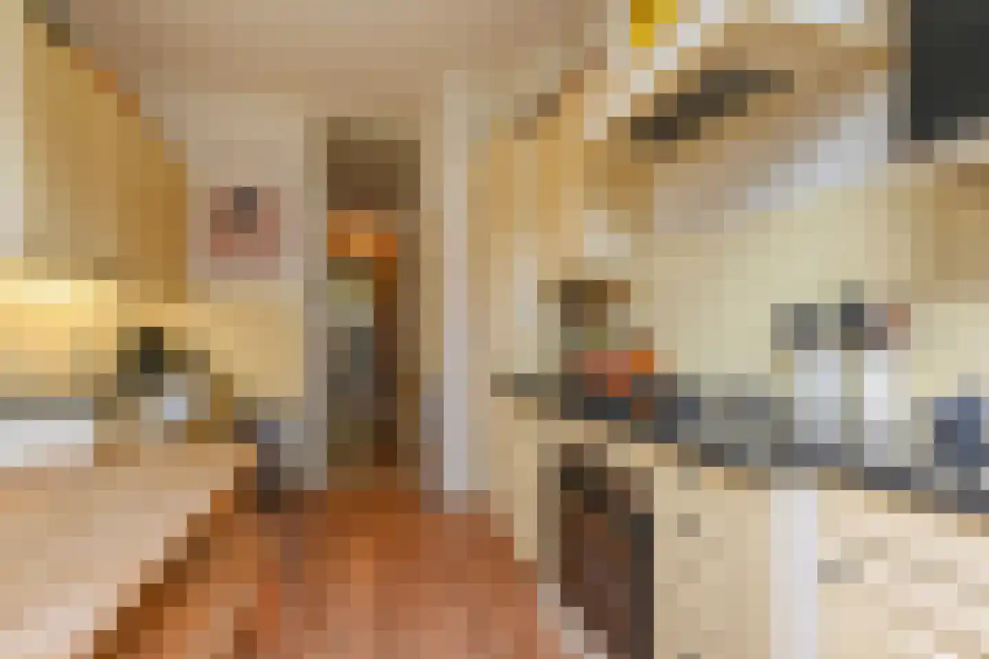 Julianastraat 11 Rijswijk thumbnail 25