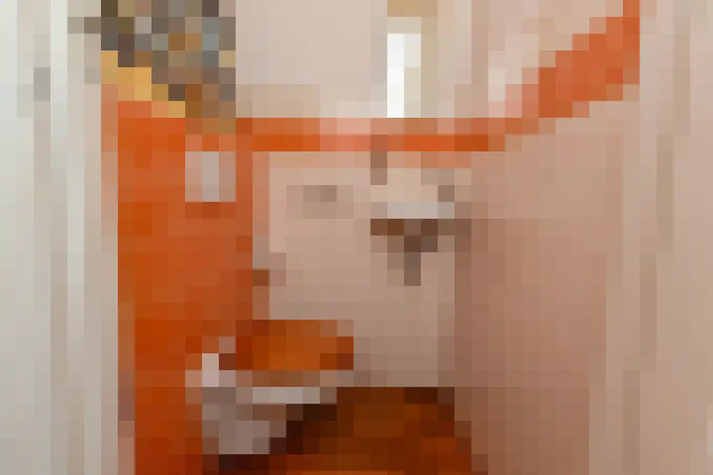 Julianastraat 11 Rijswijk thumbnail 26