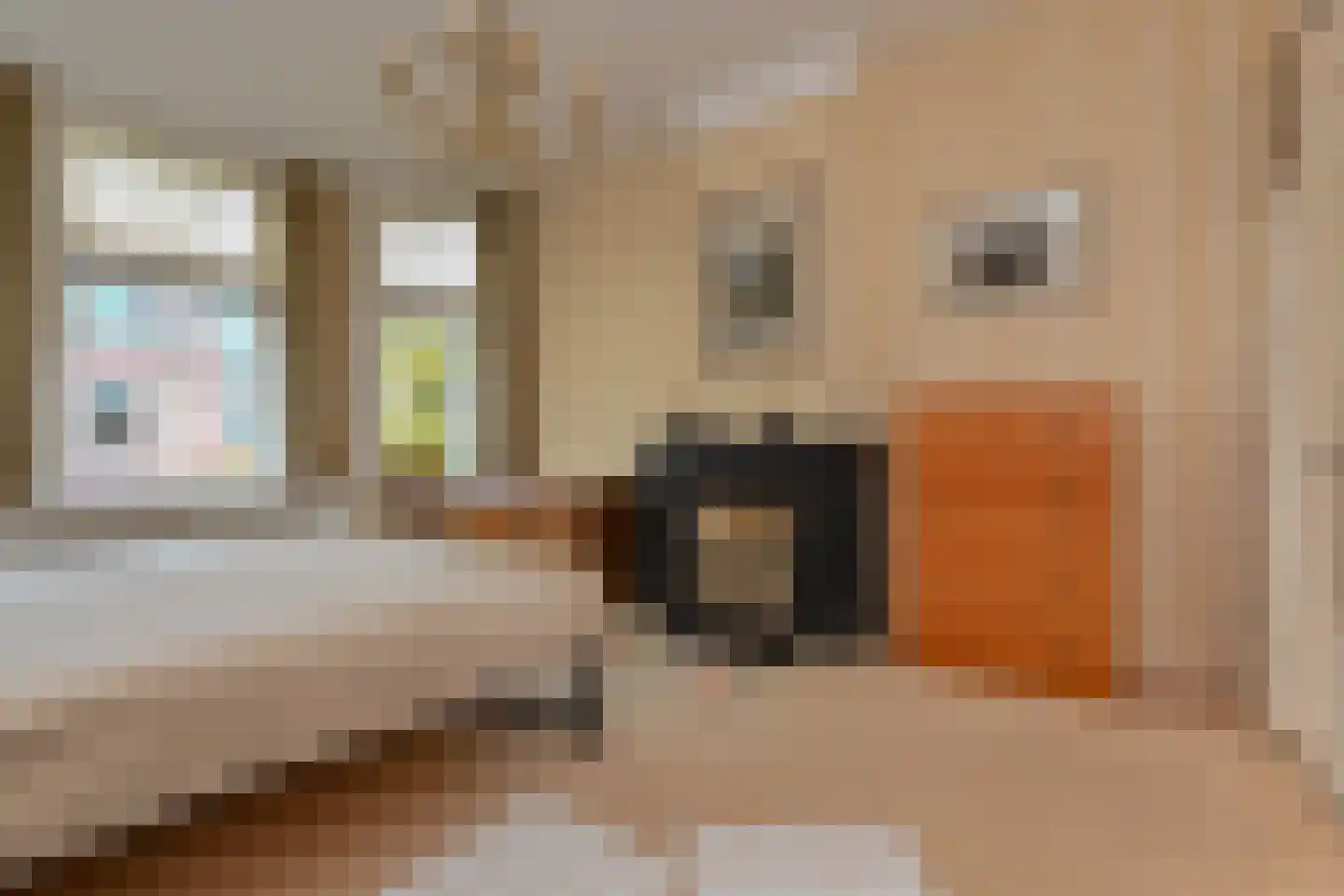 Julianastraat 11 Rijswijk thumbnail 29