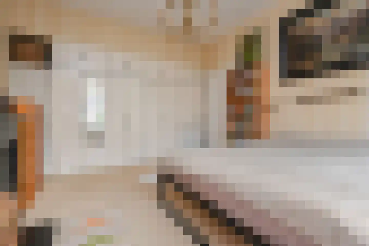 Julianastraat 11 Rijswijk thumbnail 31