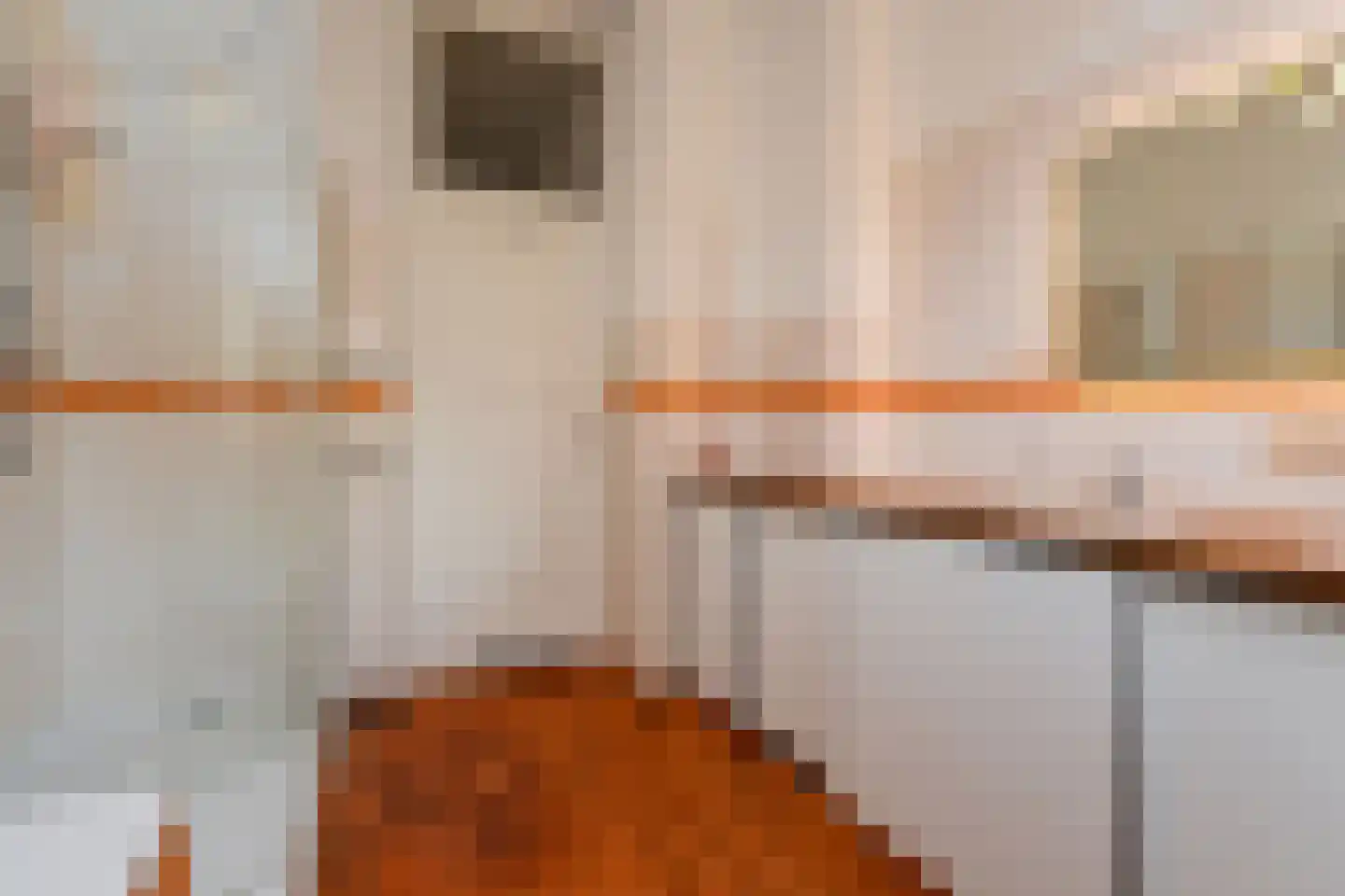 Julianastraat 11 Rijswijk thumbnail 39