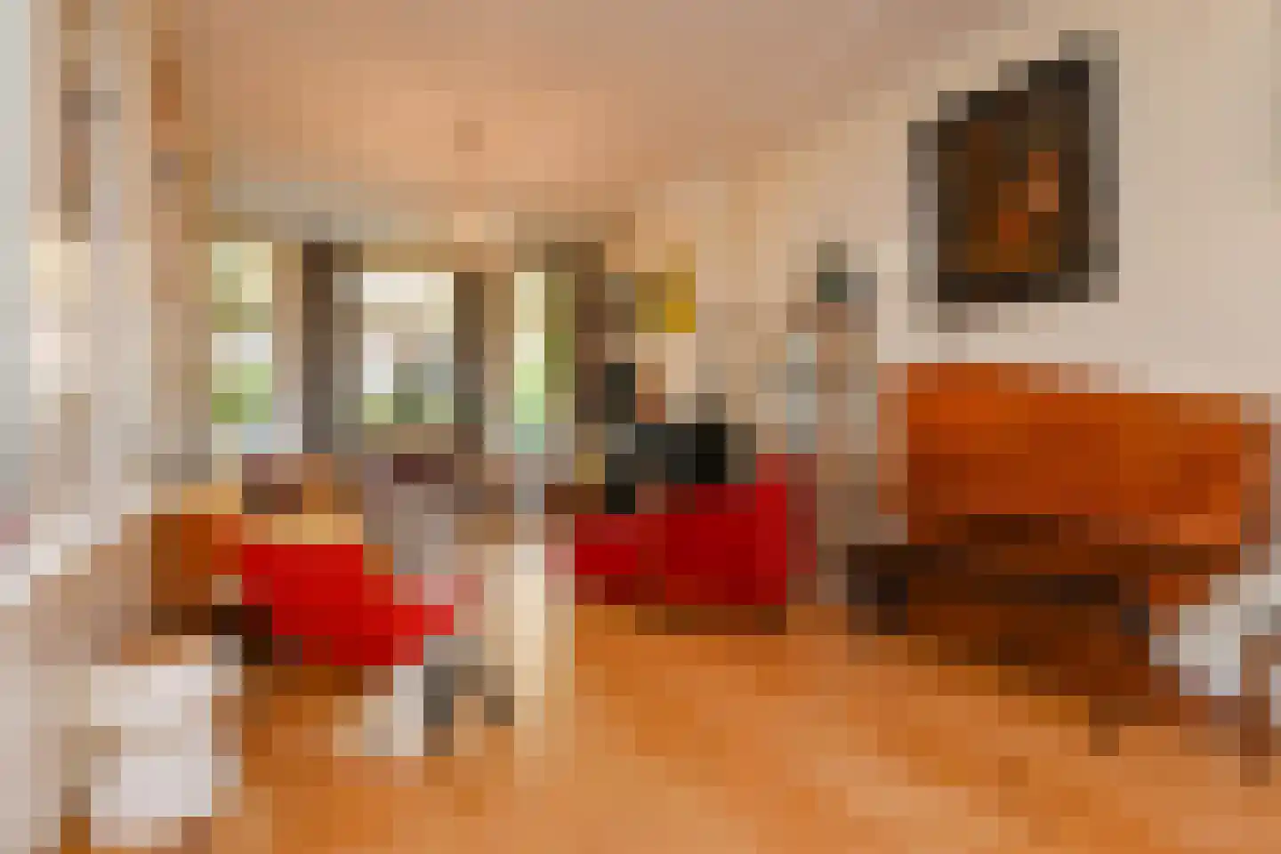 Julianastraat 11 Rijswijk thumbnail 4