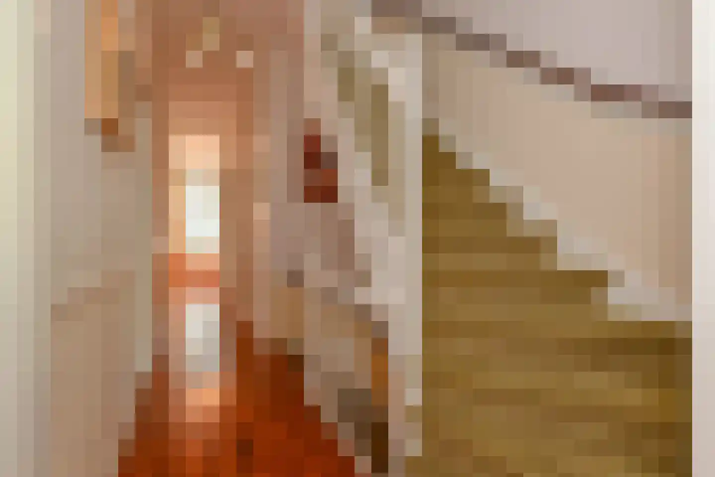 Julianastraat 11 Rijswijk thumbnail 41