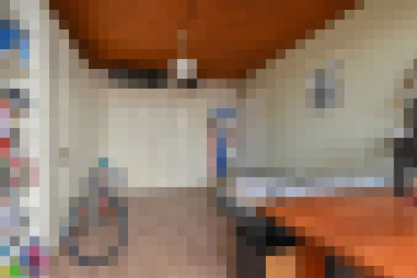 Julianastraat 11 Rijswijk thumbnail 52