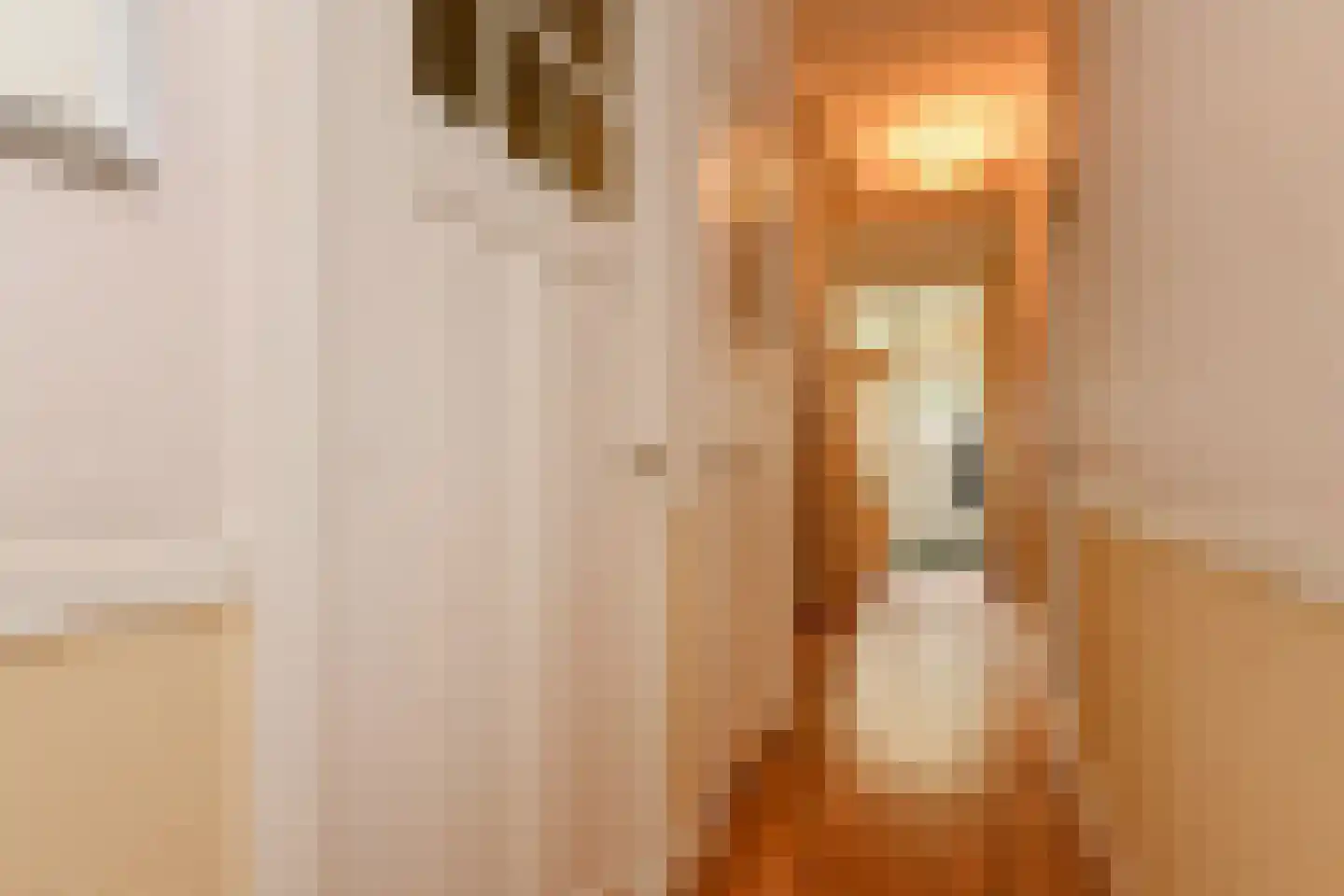 Julianastraat 11 Rijswijk thumbnail 59