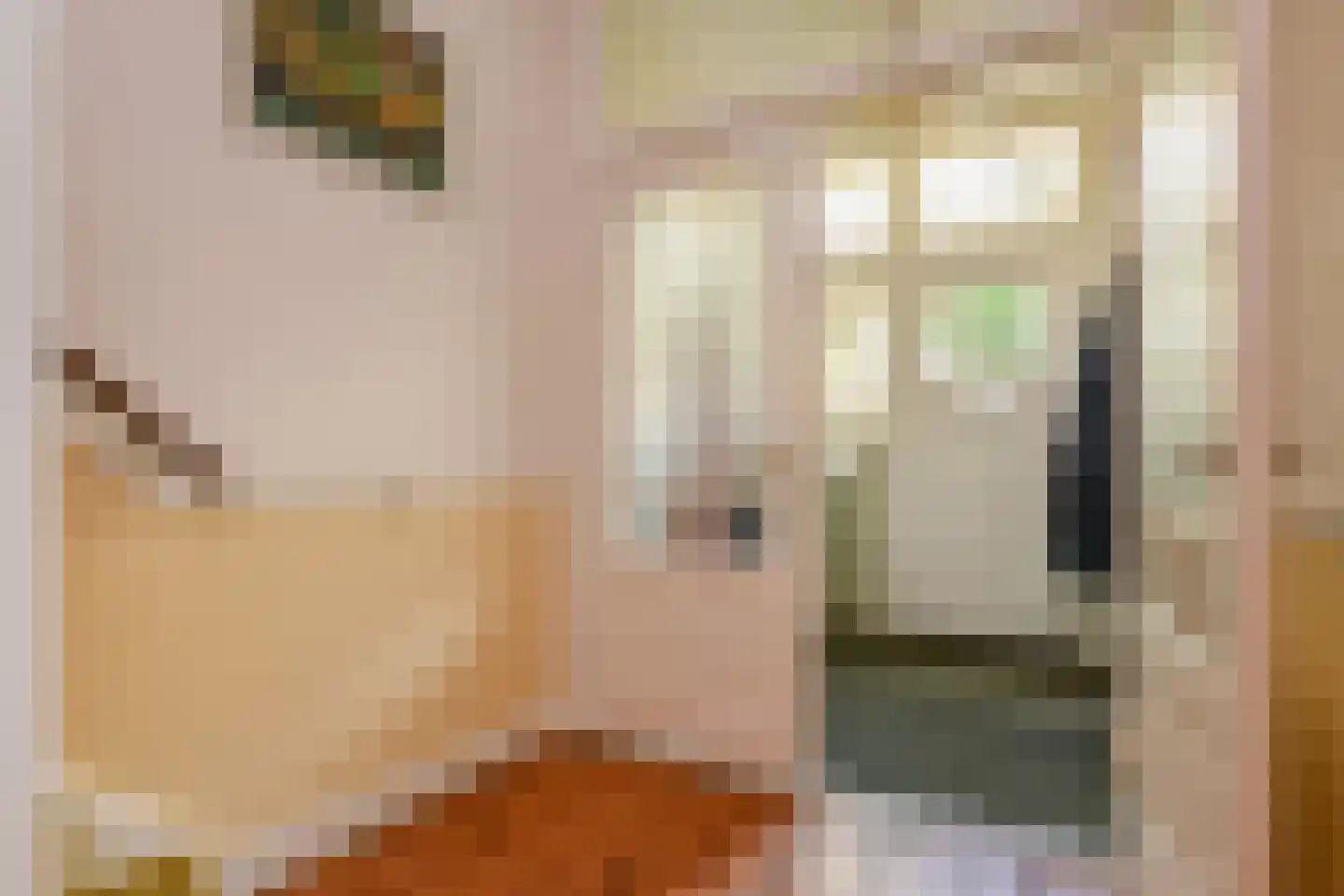 Julianastraat 11 Rijswijk thumbnail 60