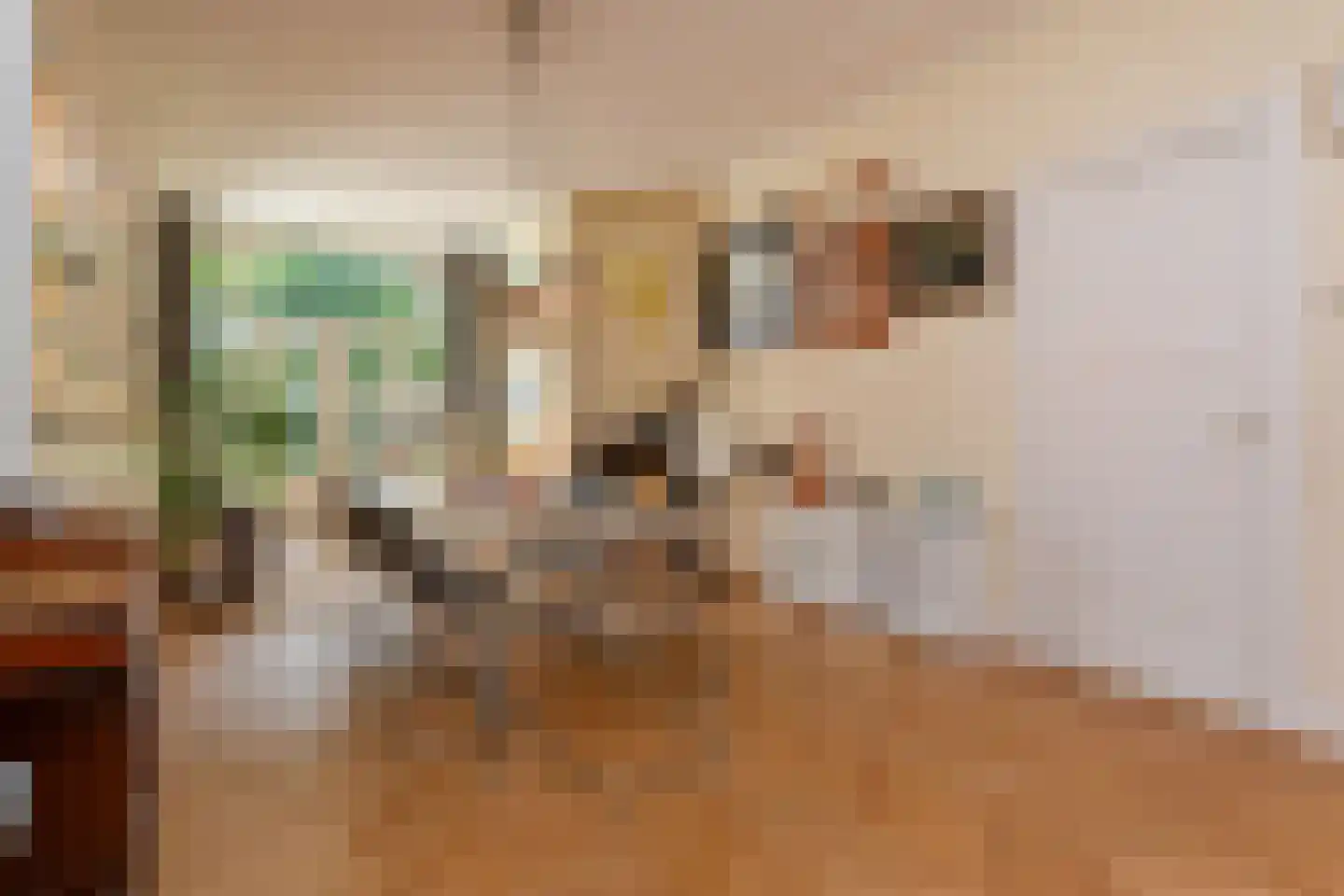 Julianastraat 11 Rijswijk thumbnail 9