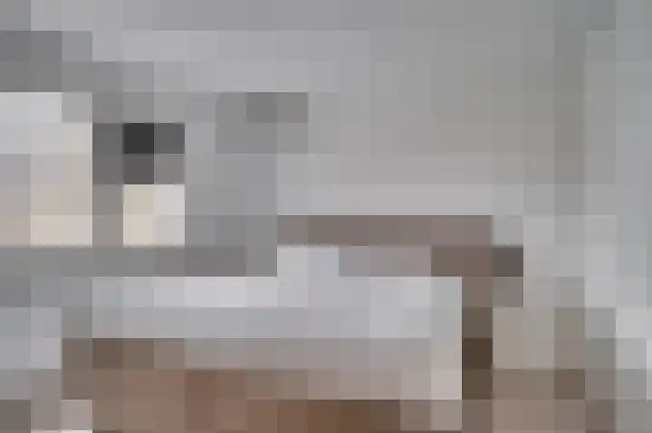 Julianastraat 11 Velden thumbnail 16