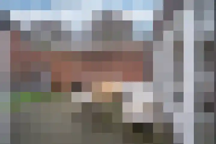 Julianastraat 11 Velden thumbnail 25