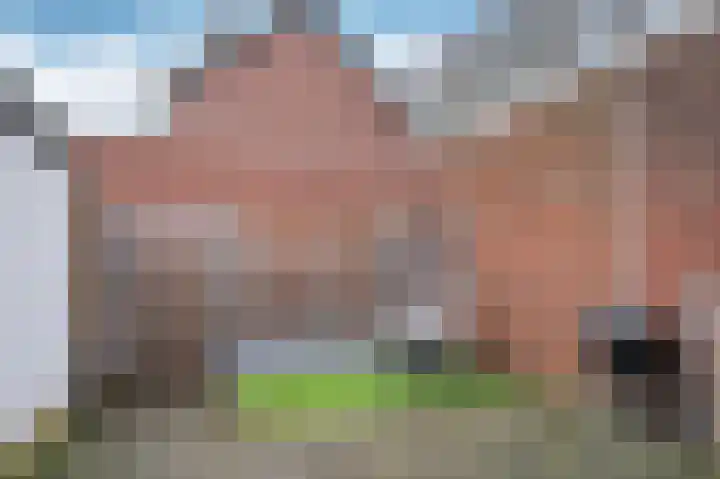 Julianastraat 11 Velden thumbnail 26