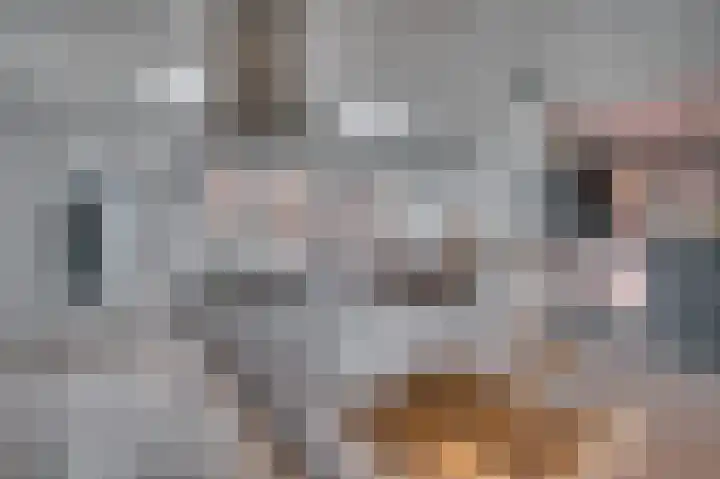 Julianastraat 11 Velden thumbnail 8