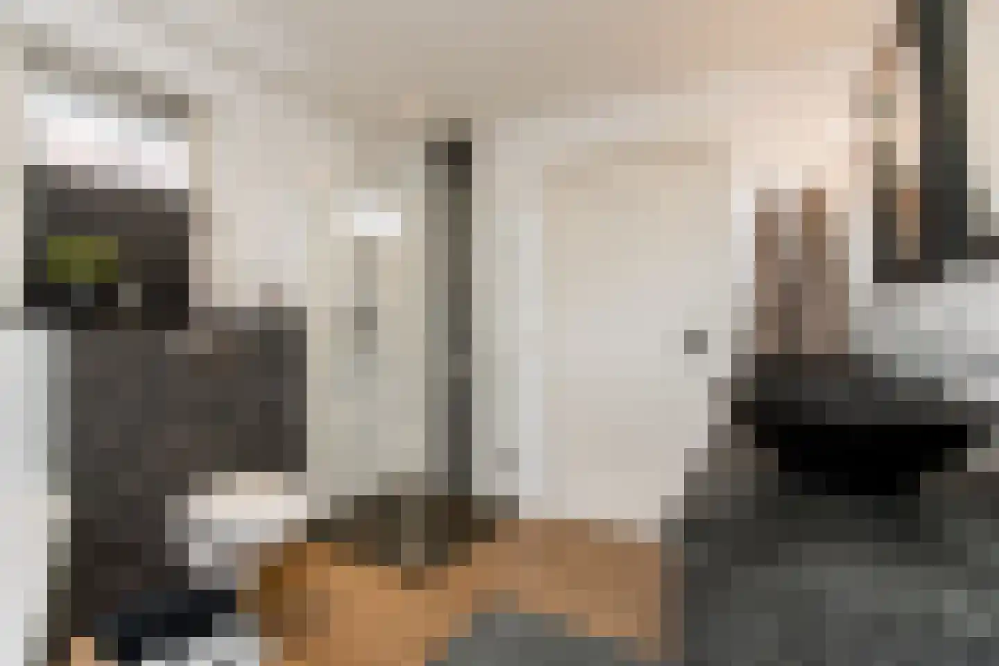 Julianastraat 11 Waalwijk thumbnail 35