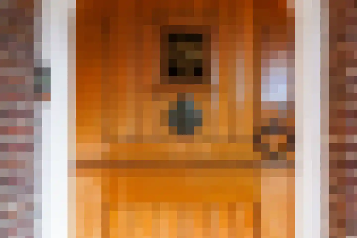 Julianastraat 11 Waalwijk thumbnail 7