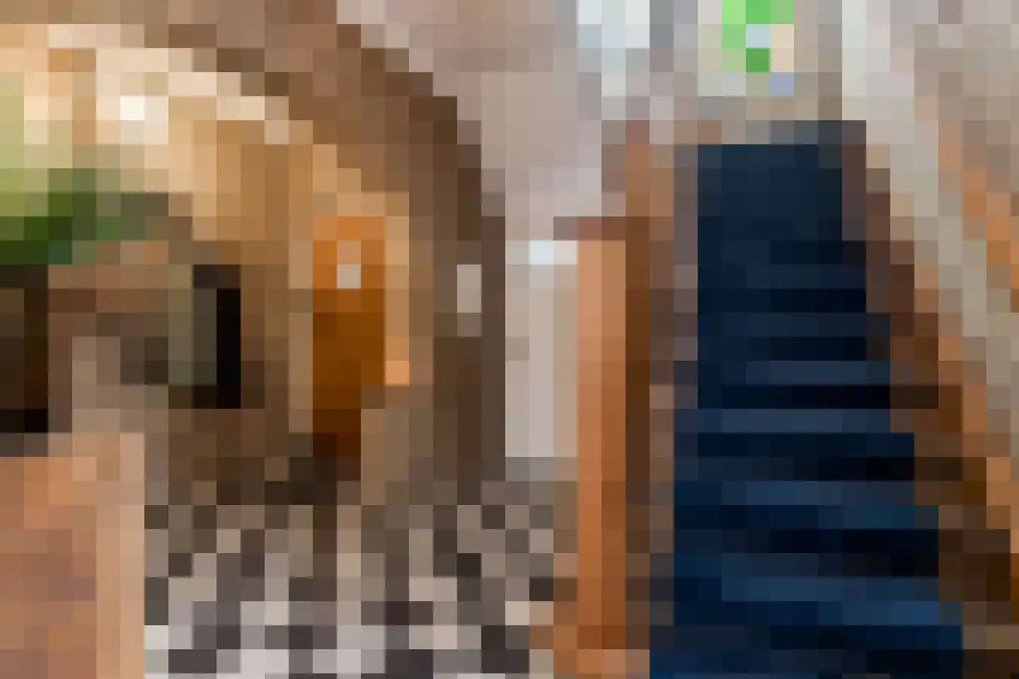 Julianastraat 11 Waalwijk thumbnail 8
