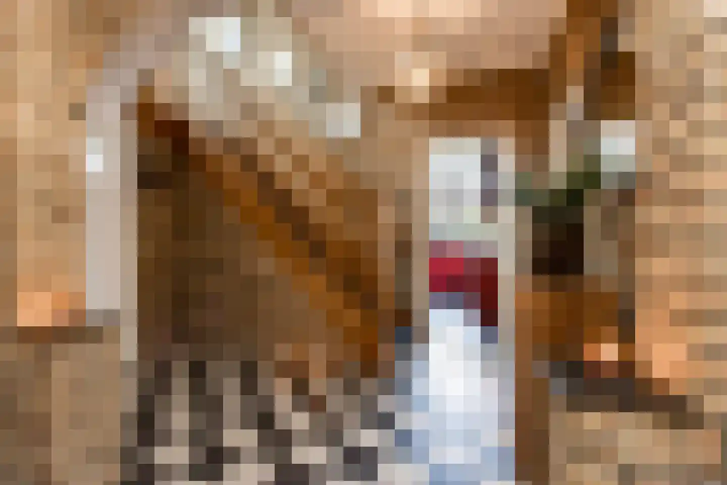 Julianastraat 11 Waalwijk thumbnail 9