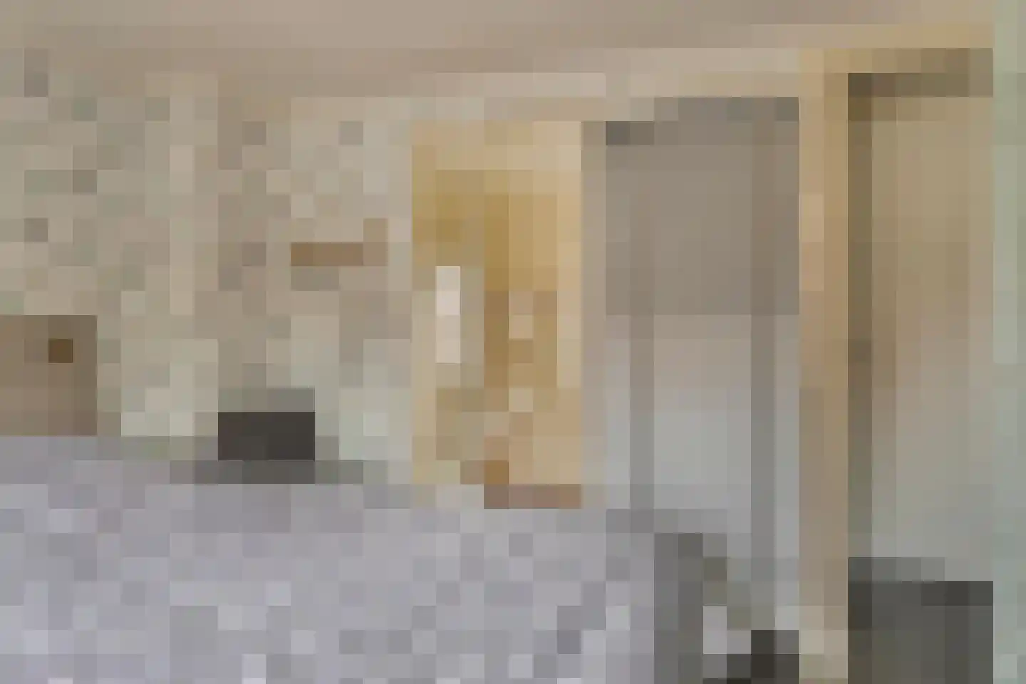 Julianastraat 11 Zuidland thumbnail 21